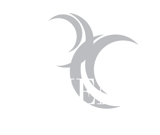 PHENIX SOS ARTISTES